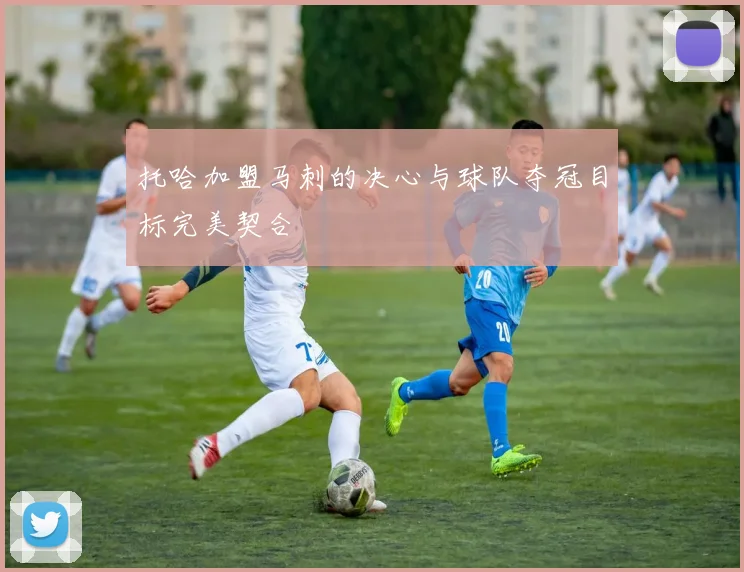 托哈加盟马刺的决心与球队夺冠目标完美契合