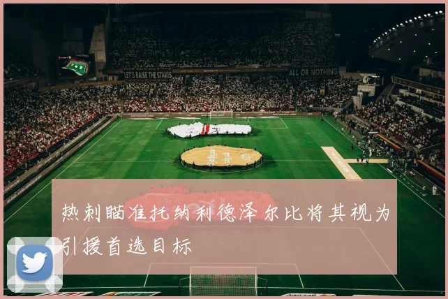 热刺瞄准托纳利德泽尔比将其视为引援首选目标