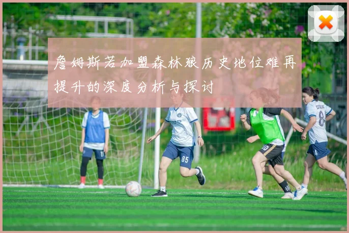 詹姆斯若加盟森林狼历史地位难再提升的深度分析与探讨