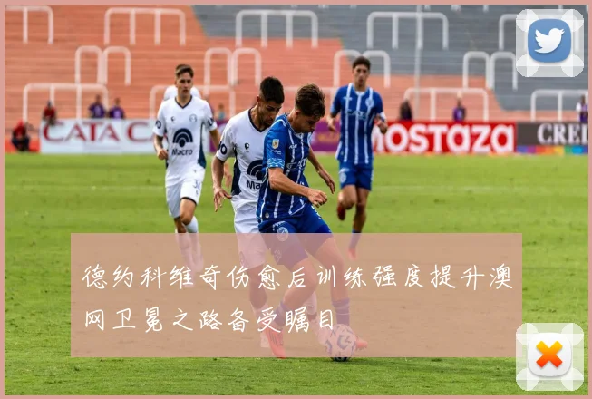德约科维奇伤愈后训练强度提升澳网卫冕之路备受瞩目